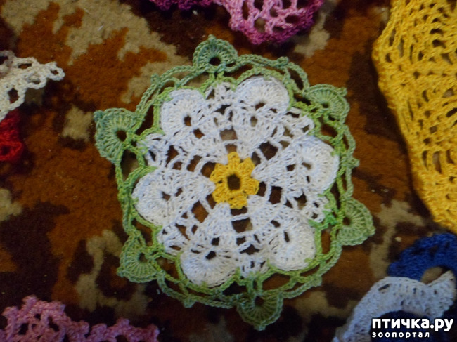 ���� 4: ��� � � ��������� ����������...