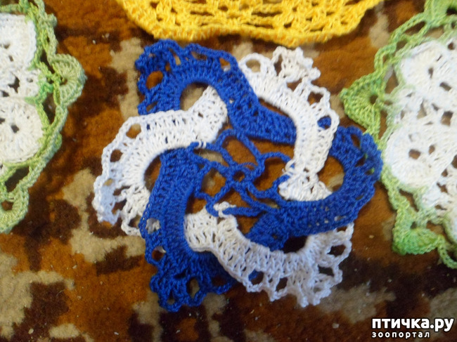 ���� 5: ��� � � ��������� ����������...