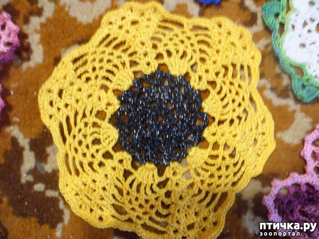 ���� 6: ��� � � ��������� ����������...