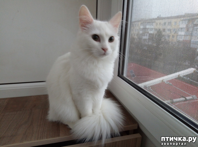 ���� 2: ������� ��������