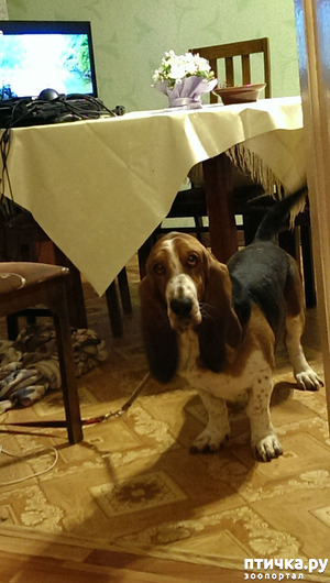 ����: ������! ��� ������!