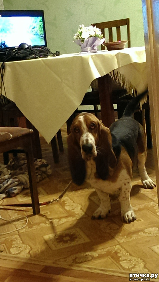 ���� 1: ������! ��� ������!