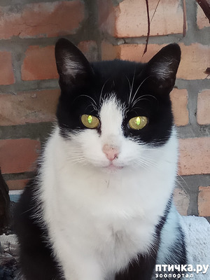 ����: �������� � �����