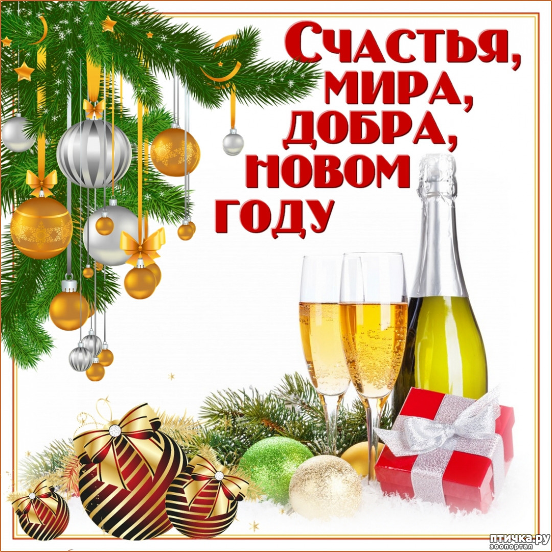 В новом году желаем добра. Счастья и здоровья в новом году. Здоровья в новом году. Добра и удачи в новом году. С новым годом счастья.