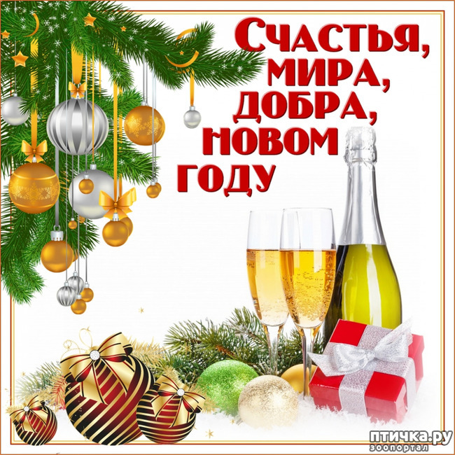 ���� 3: �����������