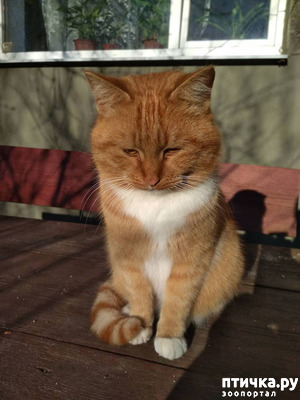 ����: ���������� ��������!