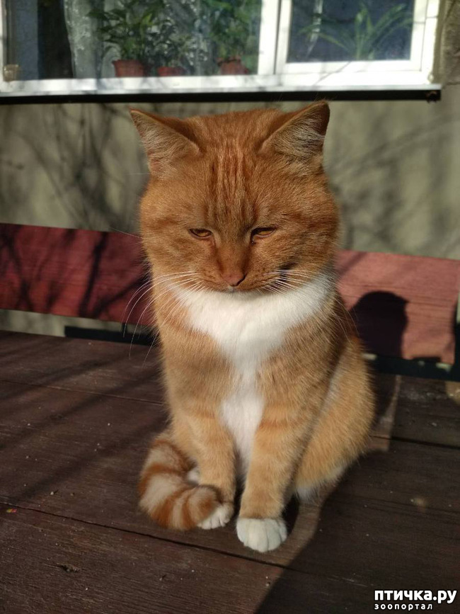 ���� 1: ���������� ��������!