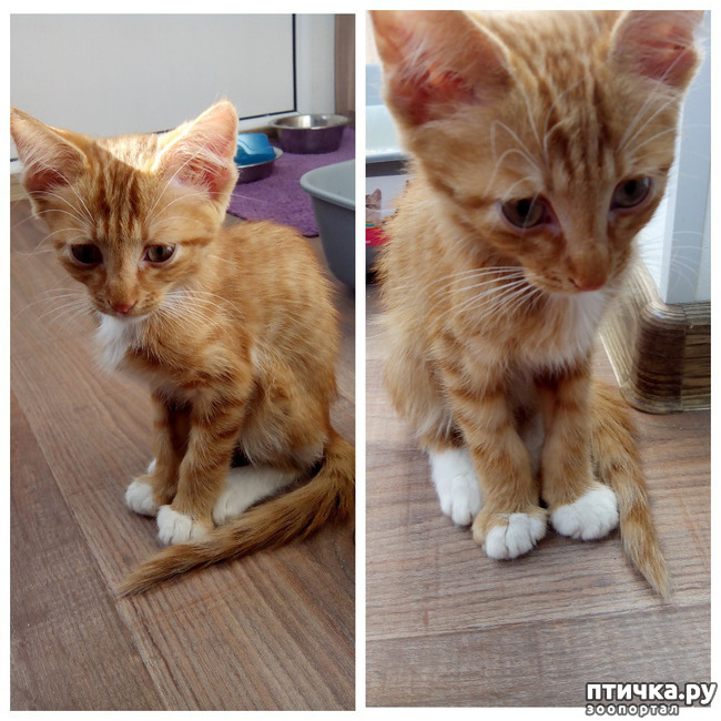 ���� 2: ���������� ��������!