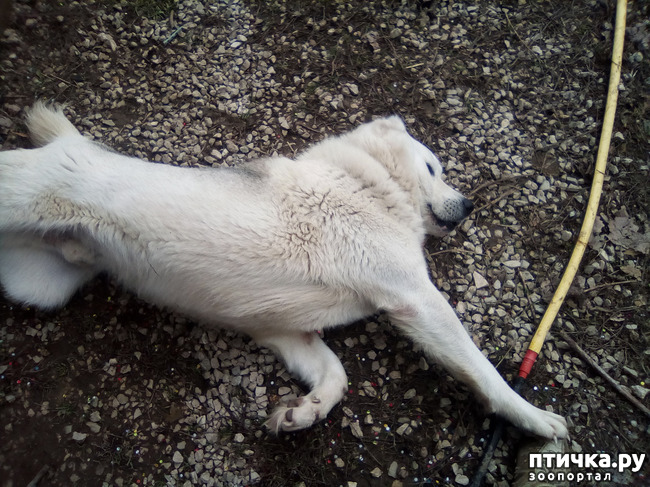 ���� 2: �����������