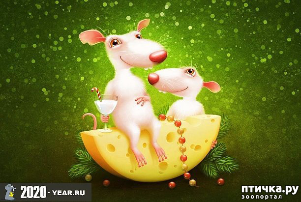 ���� 1: � �����������, ��� �� ����� (��� ���� � 14 ������ � 25), ����� �����!)))