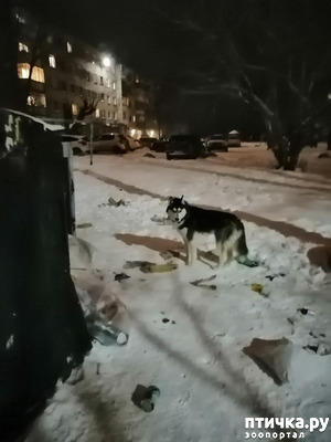 ����: ���� ��������� �������.. ��� ��� �����.. ( (