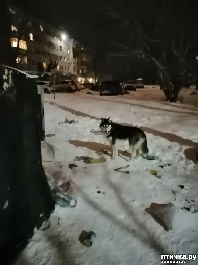 ���� 1: ���� ��������� �������.. ��� ��� �����.. ( (