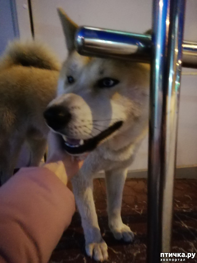 ���� 2: ���� ��������� �������.. ��� ��� �����.. ( (