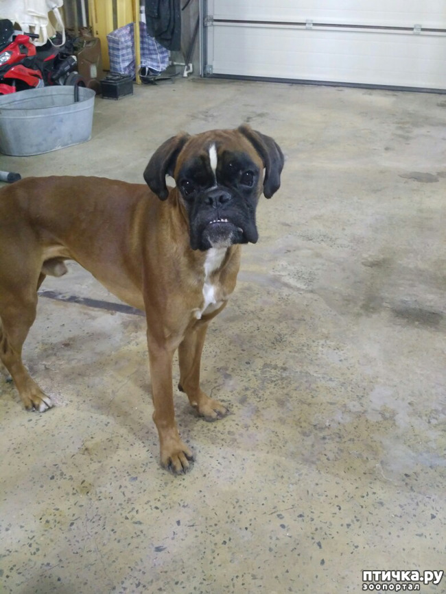 ���� 3: ���� ��������� �������.. ��� ��� �����.. ( (