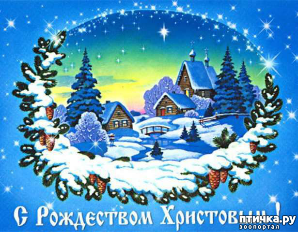 ���� 5: � ���������� ���������!