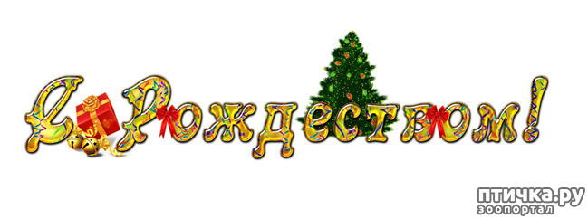 ���� 1: �� ������� ���������� ��������� ��������, ������� ������!