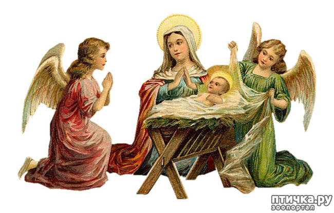 ���� 3: �� ������� ���������� ��������� ��������, ������� ������!