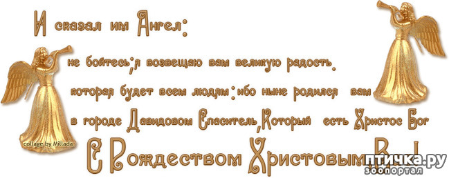 ���� 5: �� ������� ���������� ��������� ��������, ������� ������!