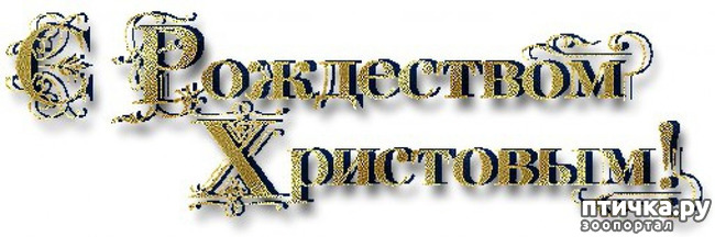 ���� 6: �� ������� ���������� ��������� ��������, ������� ������!