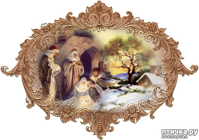 ���� 8: �� ������� ���������� ��������� ��������, ������� ������!