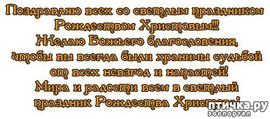 ���� 10: �� ������� ���������� ��������� ��������, ������� ������!