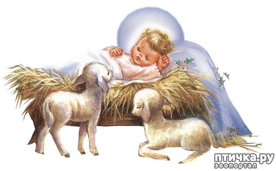 ���� 11: �� ������� ���������� ��������� ��������, ������� ������!