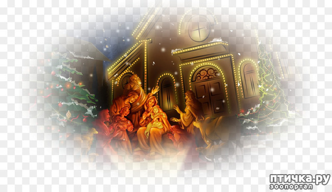 ���� 13: �� ������� ���������� ��������� ��������, ������� ������!