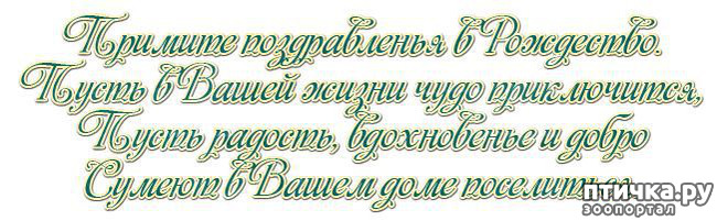 ���� 12: �� ������� ���������� ��������� ��������, ������� ������!