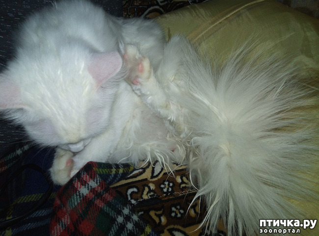 ���� 8: ����� � ����