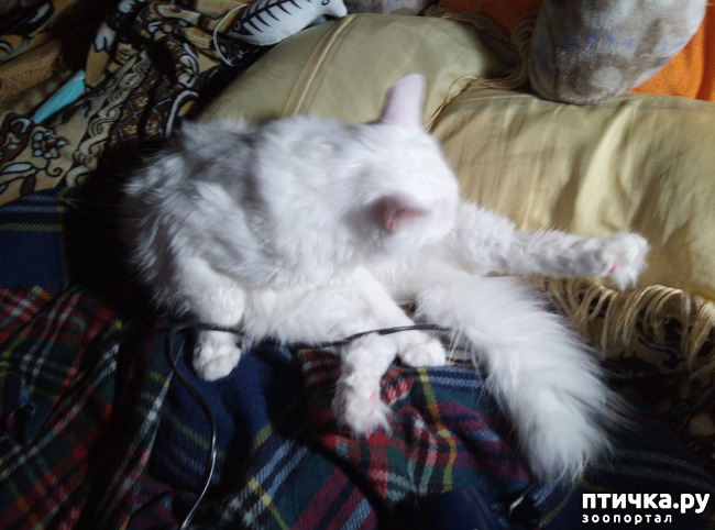 ���� 9: ����� � ����