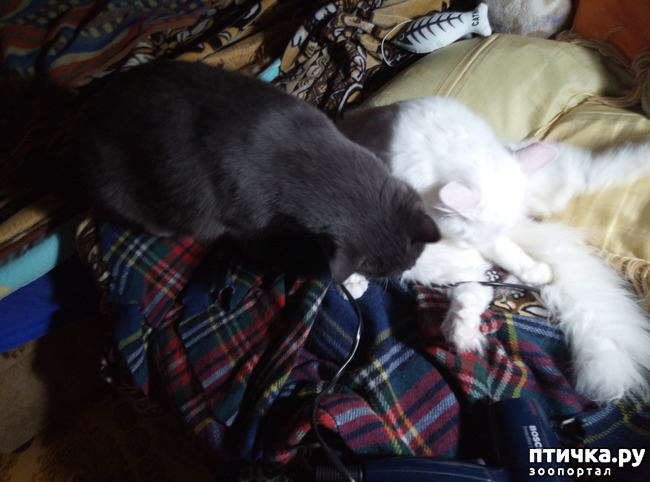 ���� 10: ����� � ����