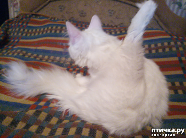 ���� 11: ����� � ����