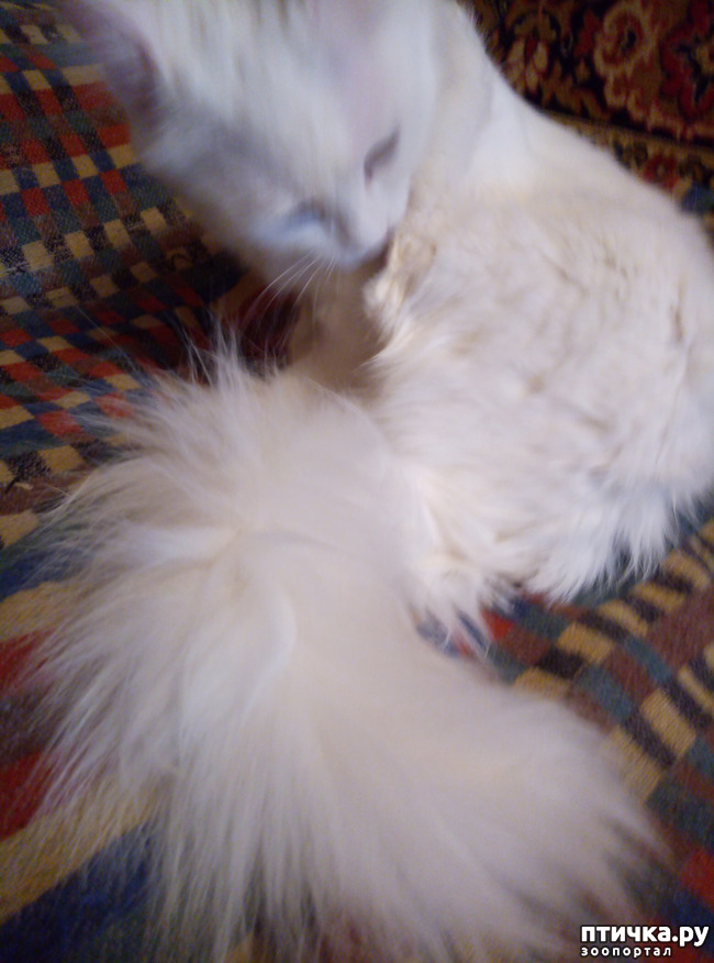 ���� 12: ����� � ����