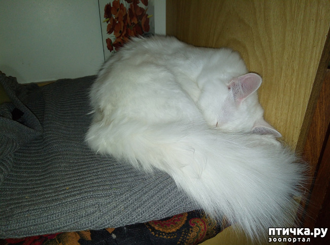 ���� 13: ����� � ����