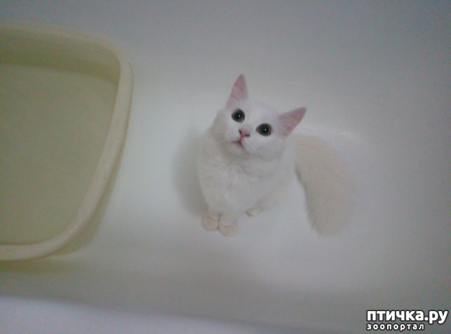 ���� 2: ����� � ����