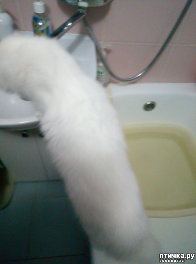 ���� 3: ����� � ����