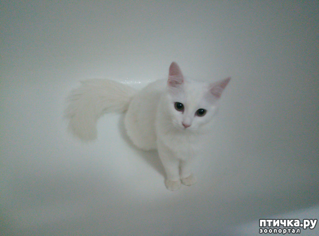 ���� 4: ����� � ����