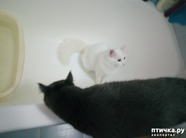 ���� 5: ����� � ����