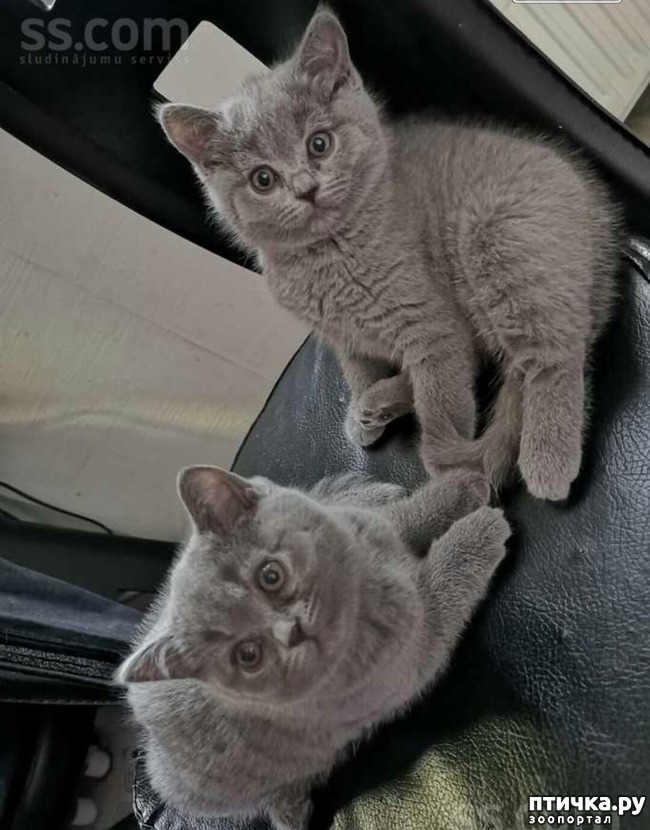 ���� 1: ������, ��� �� ������