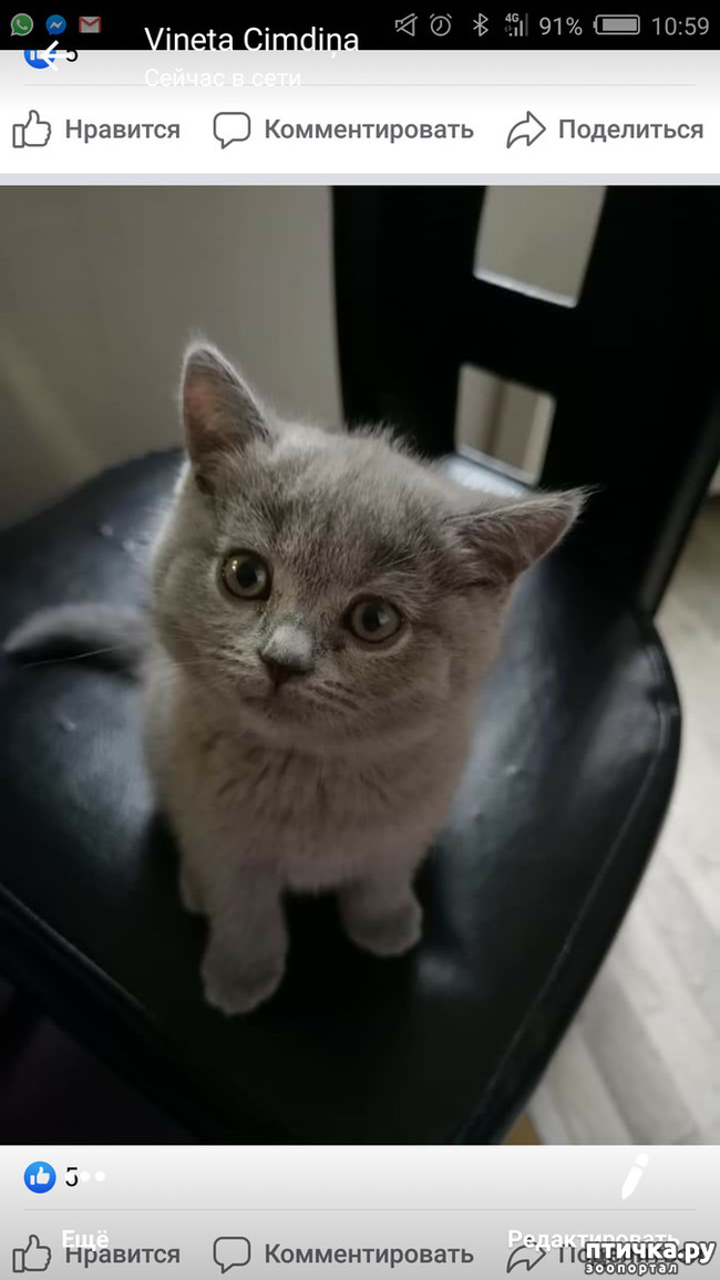 ���� 2: ������, ��� �� ������