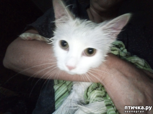 ���� 6: ����� � ����