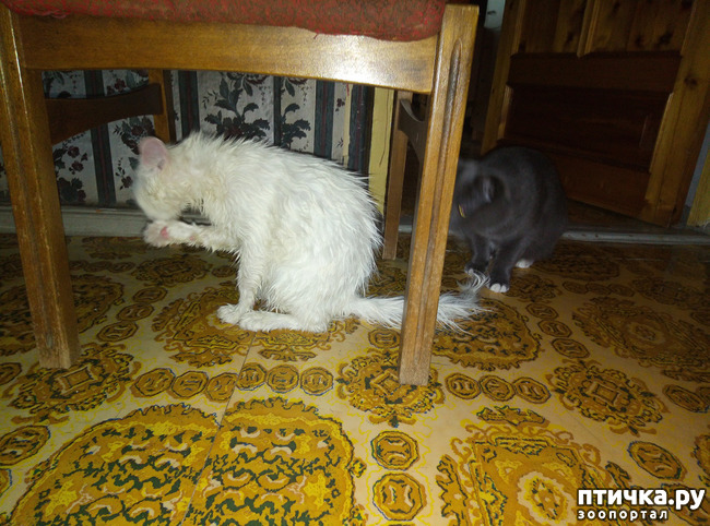 ���� 7: ����� � ����