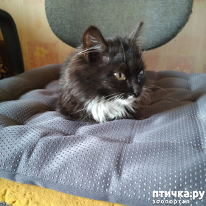 ����: ������