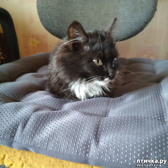 ���� 1: ������