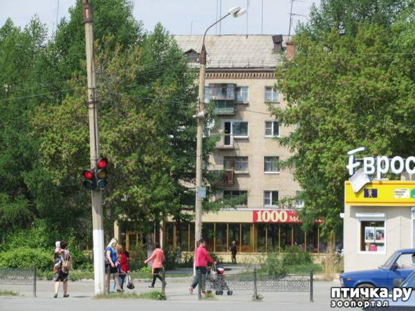 ���� 2: ������� ���.. ������!! (������� ������������)