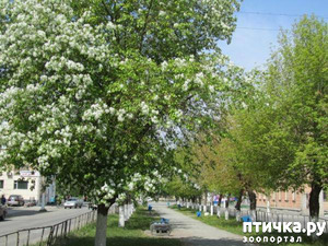 ����: ������� ���.. ������!! (������� ������������)