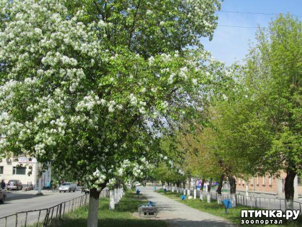 ���� 1: ������� ���.. ������!! (������� ������������)