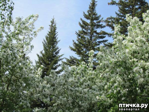 ���� 3: ������� ���.. ������!! (������� ������������)