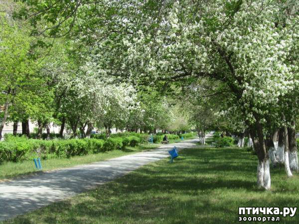 ���� 7: ������� ���.. ������!! (������� ������������)