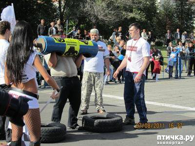 ���� 9: ������� ���.. ������!! (������� ������������)